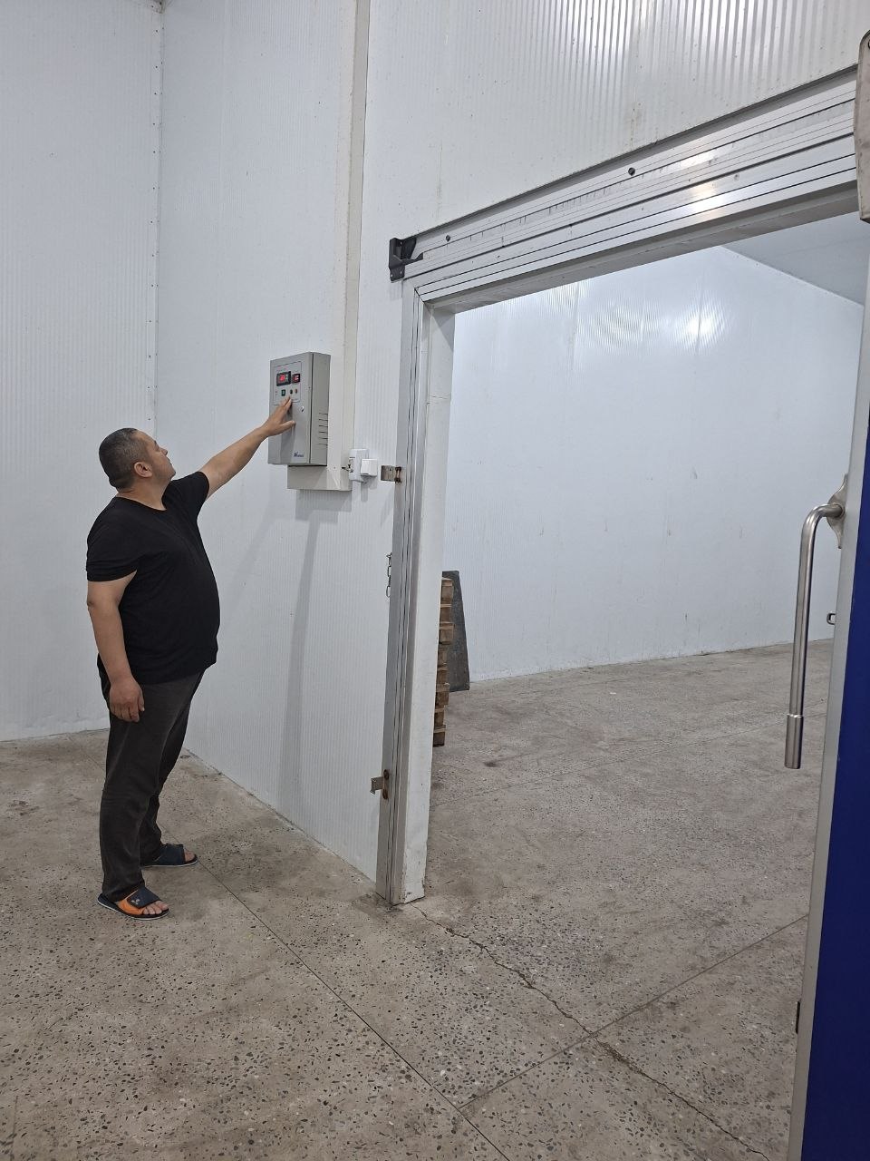 Narimon faoliyati 12